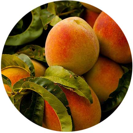 peaches